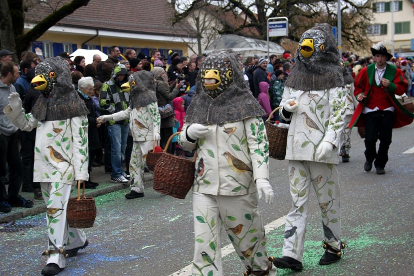 Sarmenstorf Fasnachtsumzug 16.02.2014 (40)